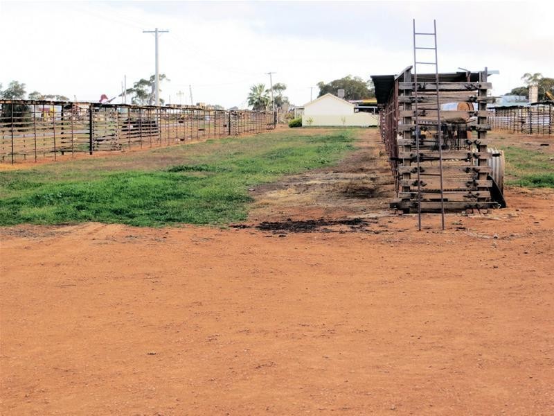 38 Flora Avenue, Cabarita VIC 3505