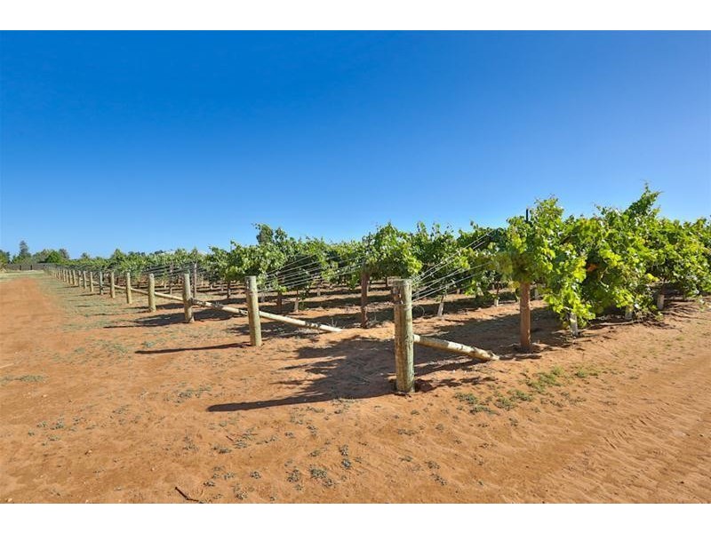 Blk 405 Euston Avenue, Cardross VIC 3496