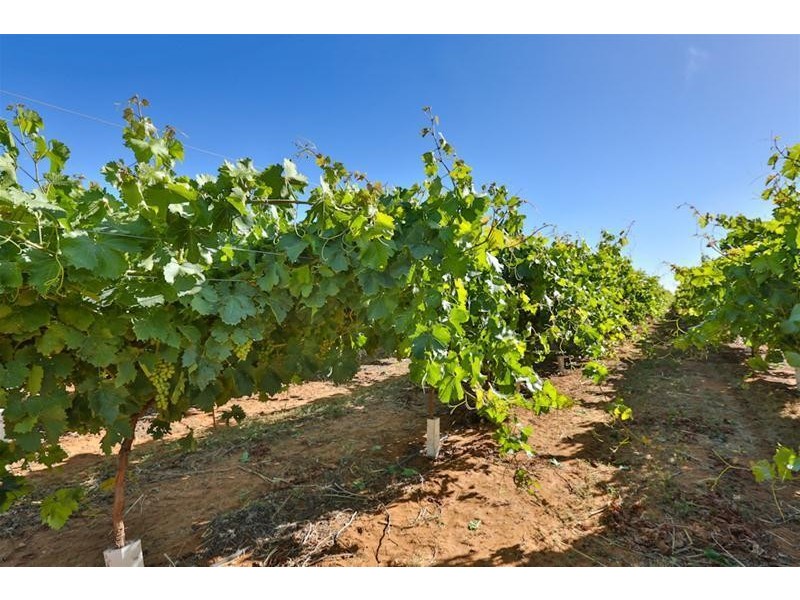 Blk 405 Euston Avenue, Cardross VIC 3496