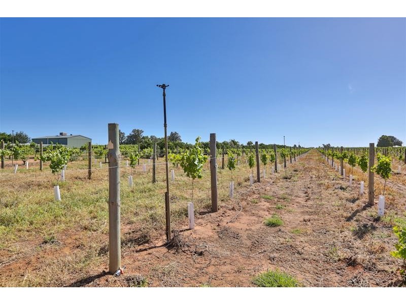 Blk 405 Euston Avenue, Cardross VIC 3496