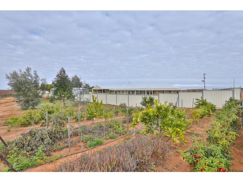 29 Derna Road, Robinvale VIC 3549