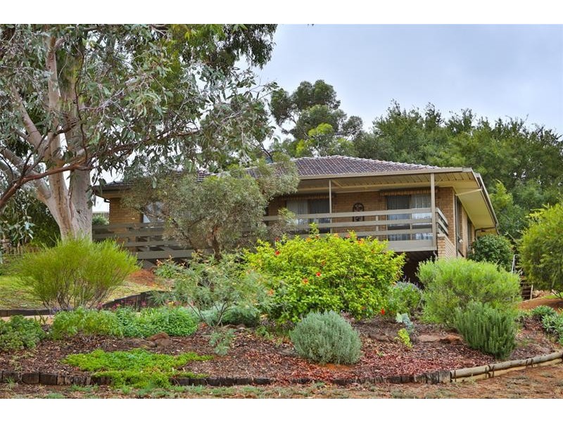 43 Riverview Drive, Dareton NSW 2717