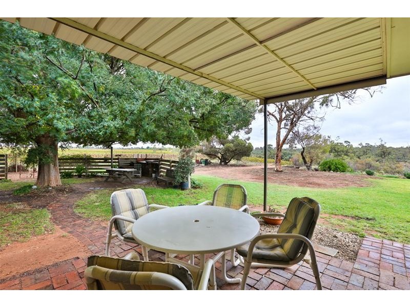 43 Riverview Drive, Dareton NSW 2717