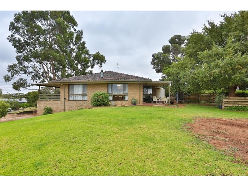 43 Riverview Drive, Dareton NSW 2717