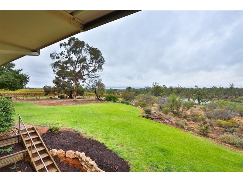 43 Riverview Drive, Dareton NSW 2717