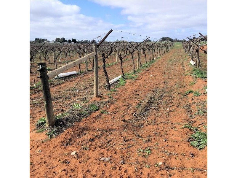 698-699-700 Boomerang Avenue, Cardross VIC 3496