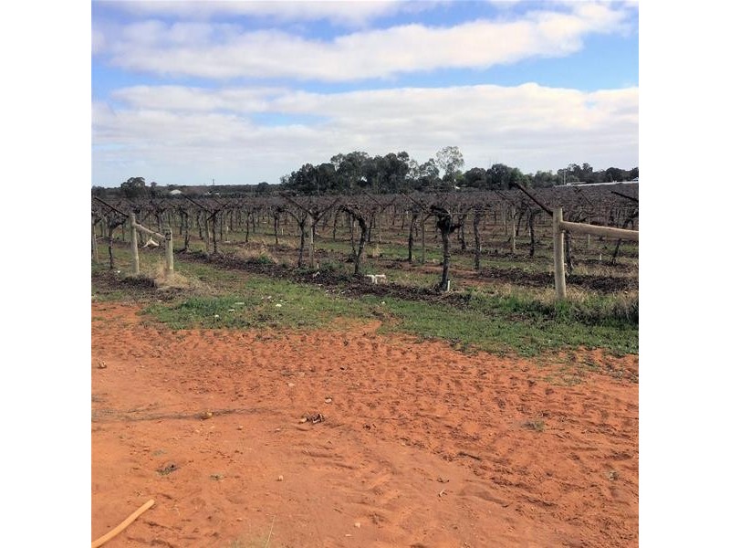 698-699-700 Boomerang Avenue, Cardross VIC 3496