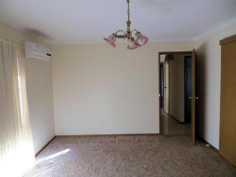 912 Karadoc Avenue, Irymple VIC 3498