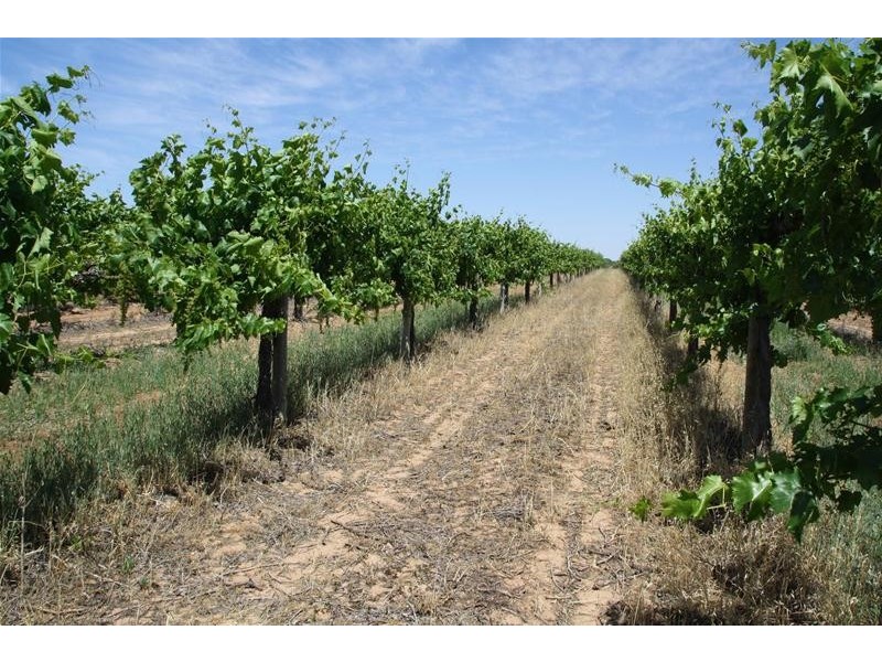 346 McEdward Street, Birdwoodton VIC 3505