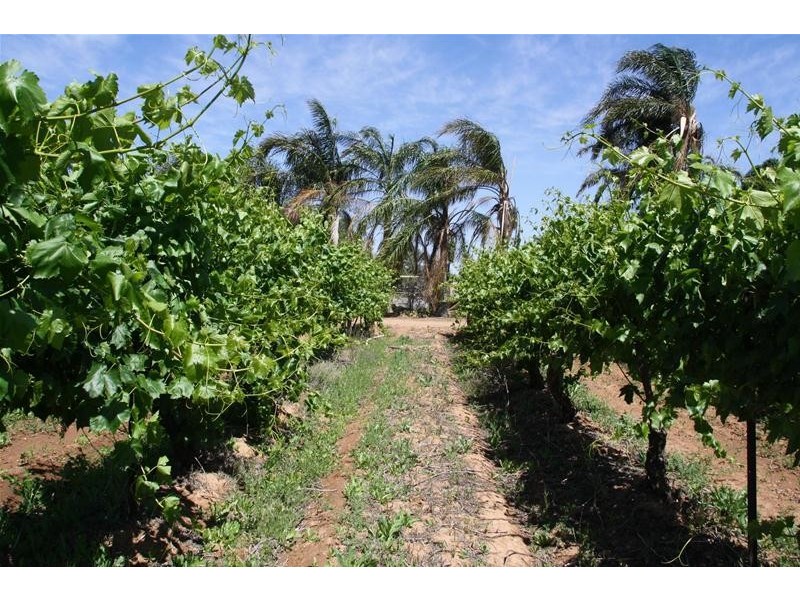 346 McEdward Street, Birdwoodton VIC 3505