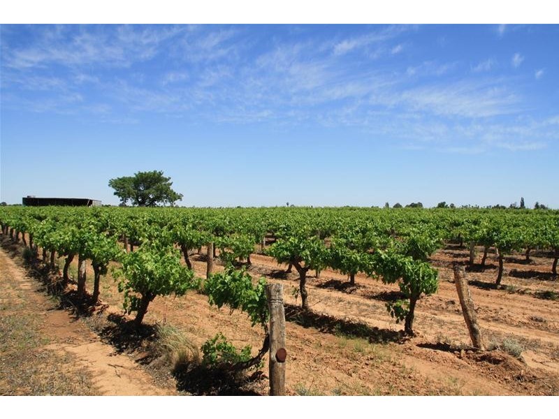 346 McEdward Street, Birdwoodton VIC 3505