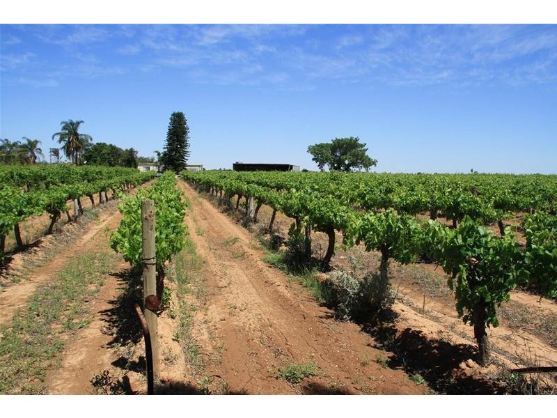 346 McEdward Street, Birdwoodton VIC 3505