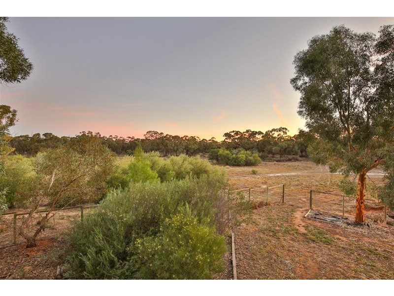 154 Ryan’s Road, Curlwaa NSW 2648