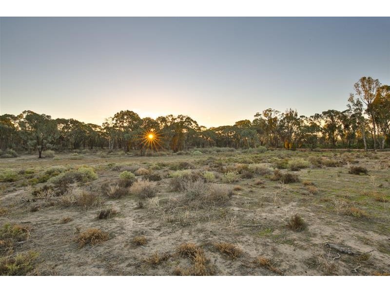 154 Ryan’s Road, Curlwaa NSW 2648