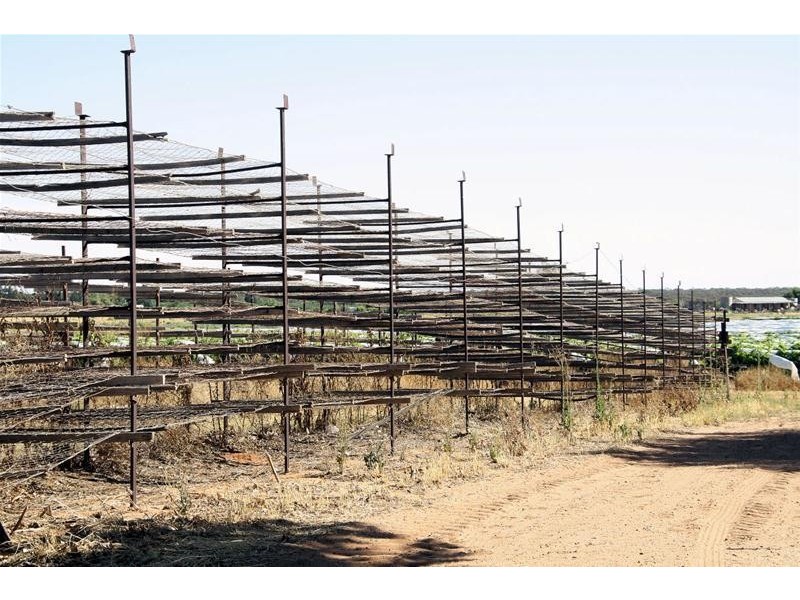 409 (Blk 526) Myall Street, Cardross VIC 3496