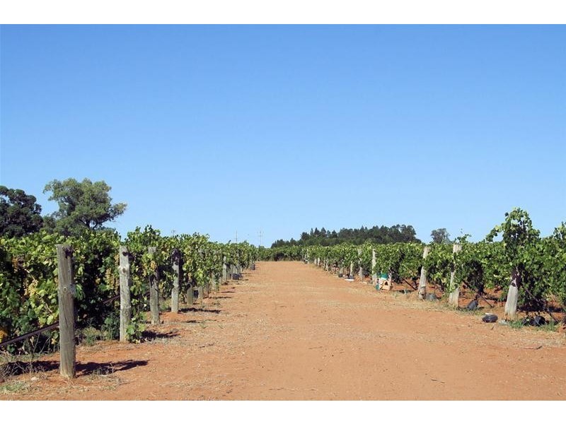 409 (Blk 526) Myall Street, Cardross VIC 3496