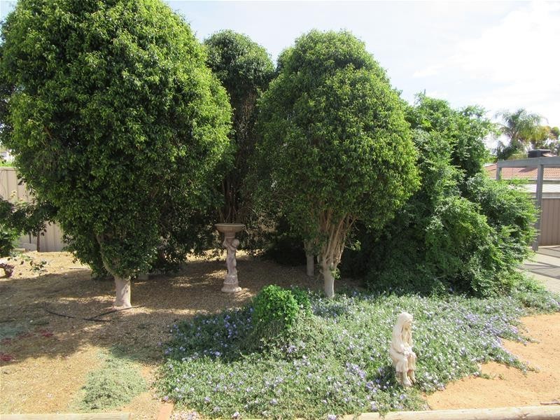 3 Chaffey Park Drive, Merbein VIC 3505