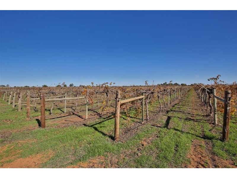 58 Dacelo Avenue, Red Cliffs VIC 3496