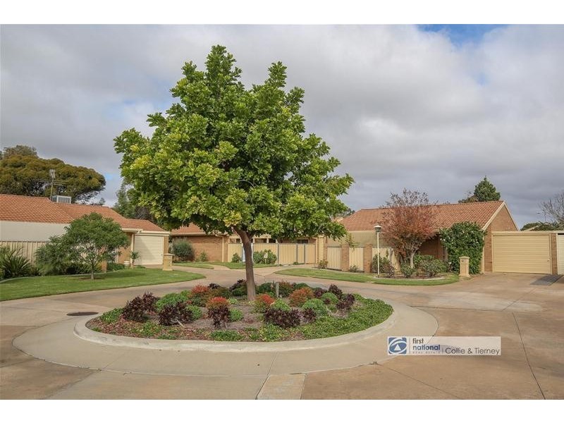 15 Hibiscus Drive, Mildura VIC 3500