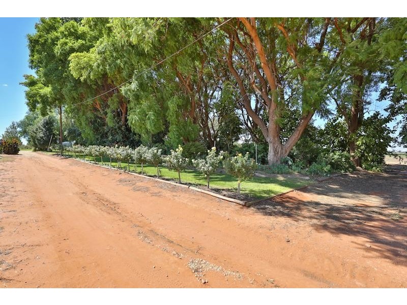 Block/203 Channel Road, Dareton NSW 2717