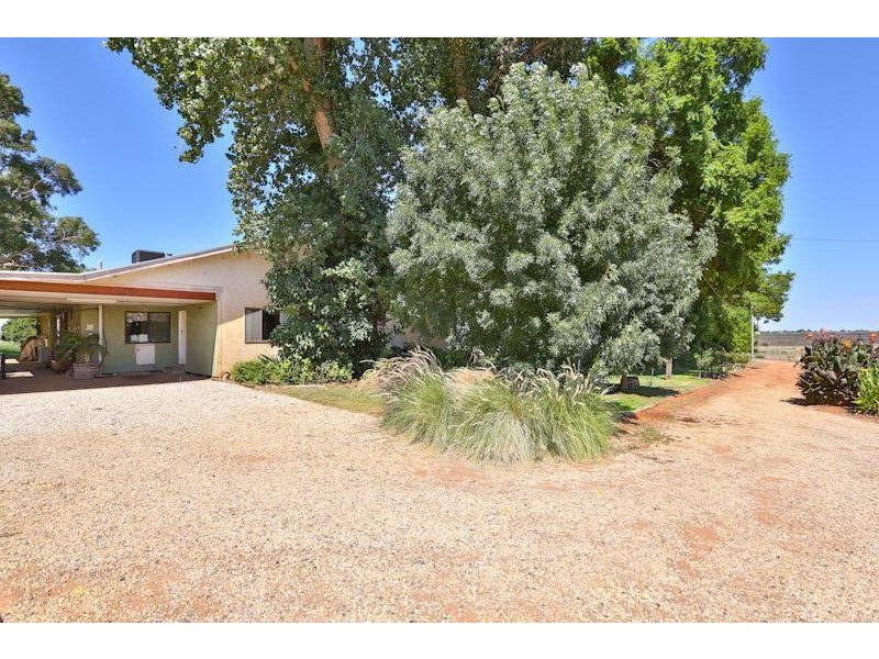 Block/203 Channel Road, Dareton NSW 2717