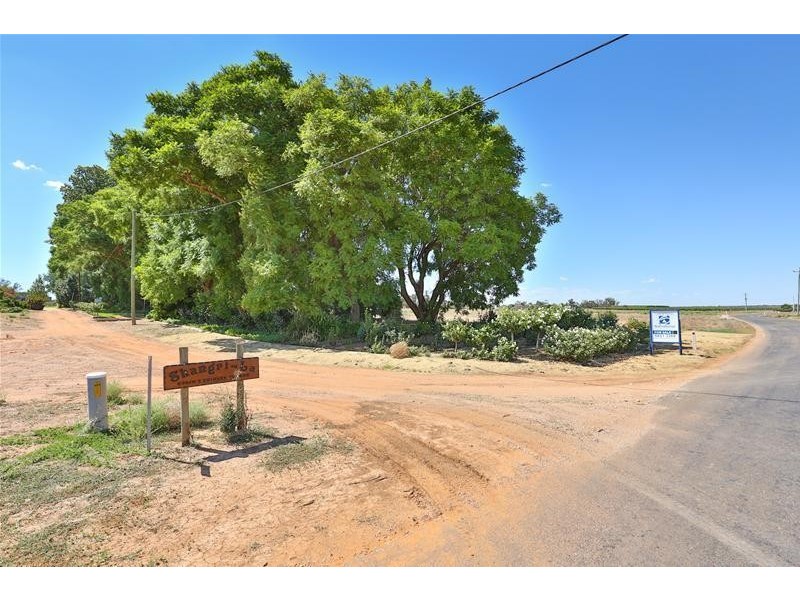 Block/203 Channel Road, Dareton NSW 2717