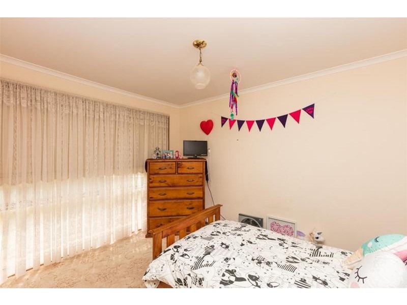 912 Karadoc Avenue, Irymple VIC 3498