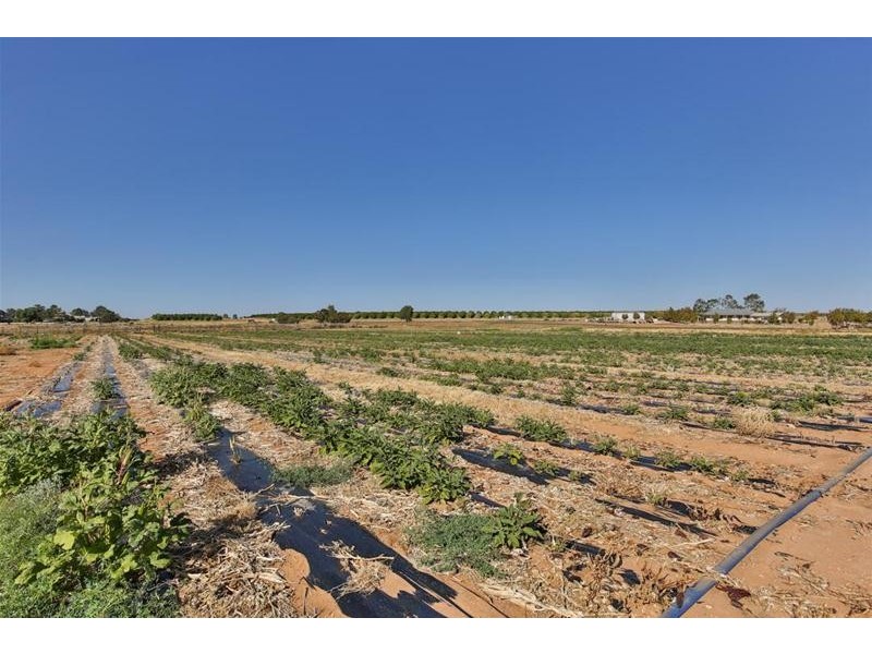 1214 Cowra Avenue, Irymple VIC 3498