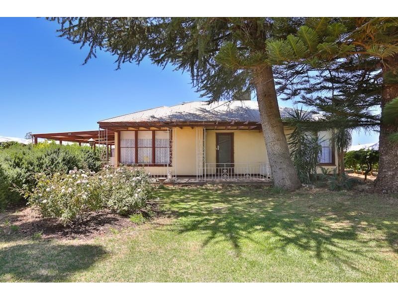 373 Morpung Avenue, Irymple VIC 3498