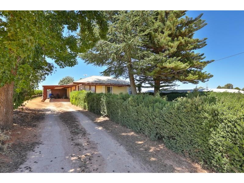373 Morpung Avenue, Irymple VIC 3498