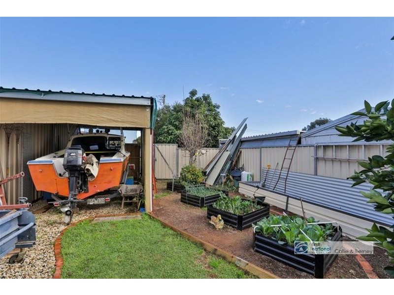 49 Nardoo Street, Red Cliffs VIC 3496