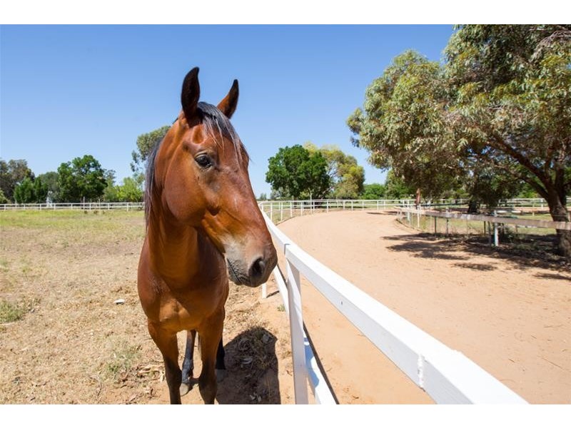 490 Cureton Avenue, Nichols Point VIC 3501