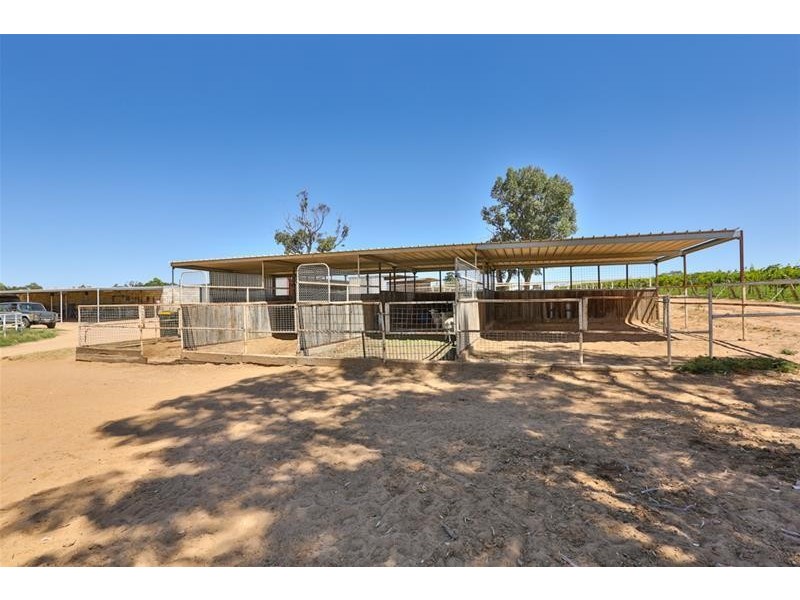 490 Cureton Avenue, Nichols Point VIC 3501