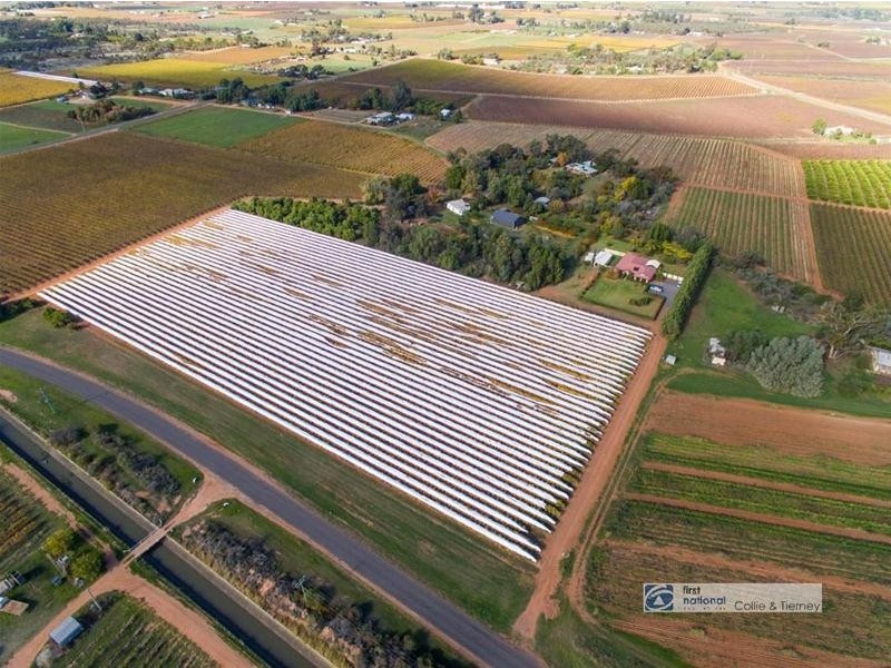 267 Dow Avenue, Irymple VIC 3498