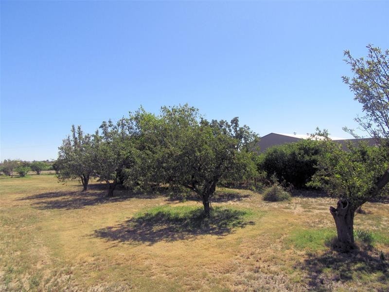 181 Seventh Street, Merbein South VIC 3505