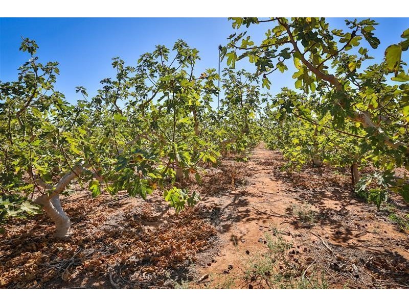 34 Monteleone Lane, Merbein South VIC 3505