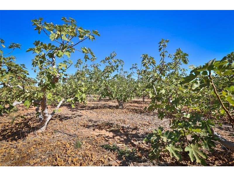 34 Monteleone Lane, Merbein South VIC 3505