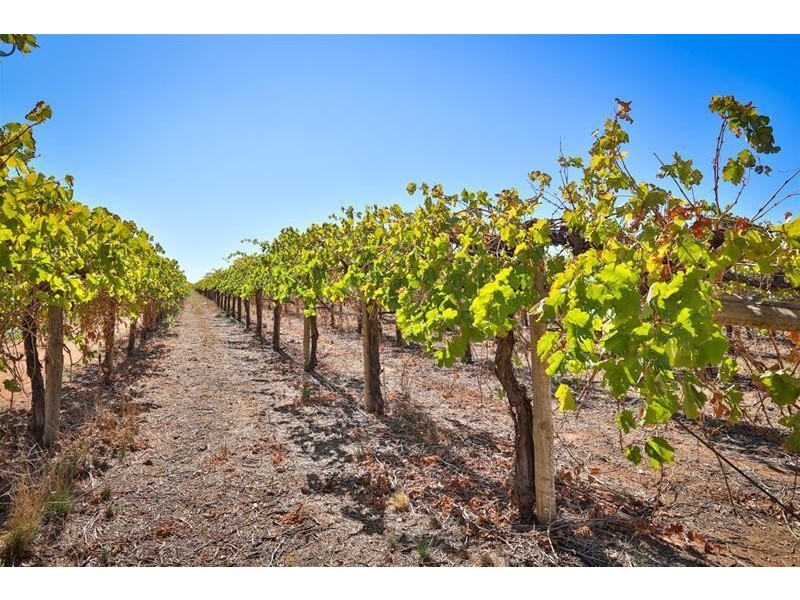 34 Monteleone Lane, Merbein South VIC 3505