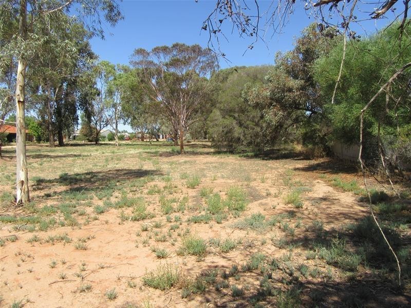 Lot 1/72 Flora Avenue, Mildura VIC 3500