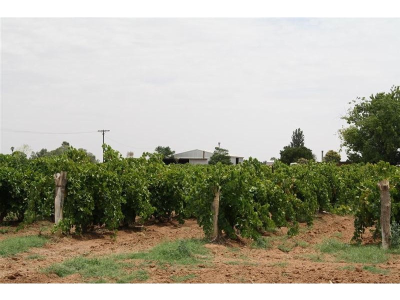 Lot 2 San Mateo Avenue, Mildura VIC 3500