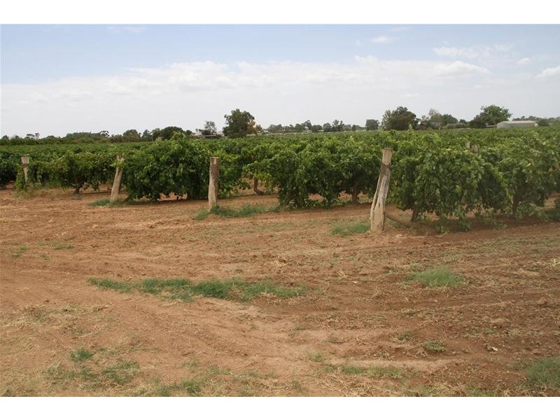 Lot 2 San Mateo Avenue, Mildura VIC 3500