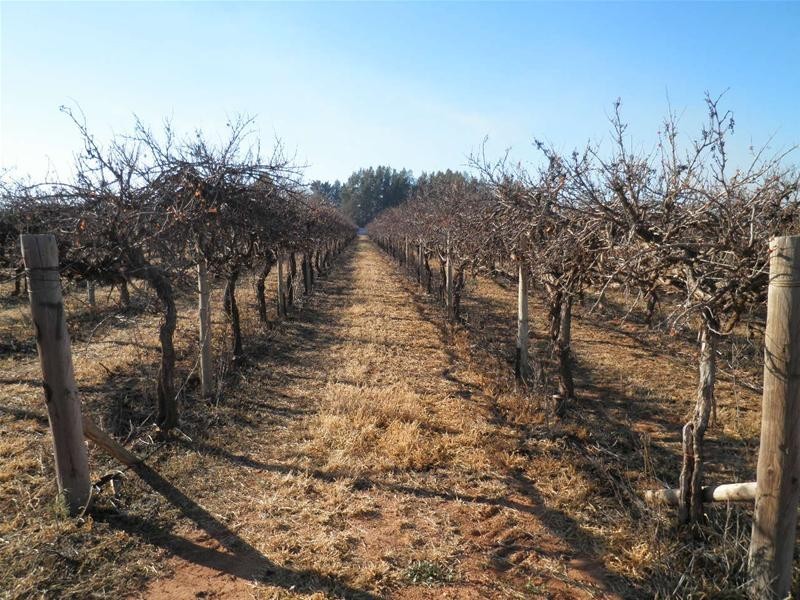 27 Boden Road, Merbein West VIC 3505