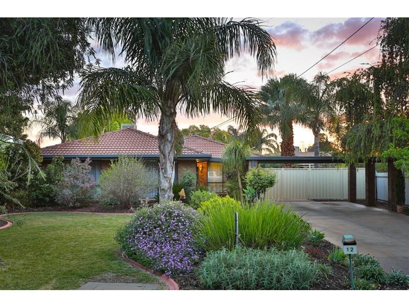 12 Tulane Drive, Mildura VIC 3500