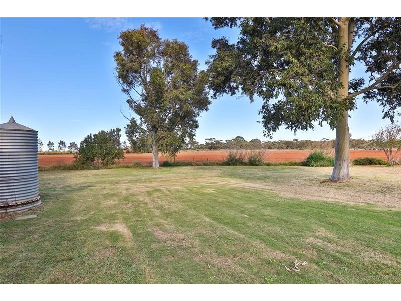 12 Freeman Road, Red Cliffs VIC 3496