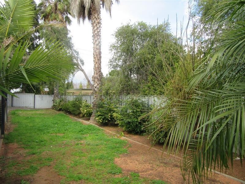 793 Irymple Avenue, Irymple VIC 3498