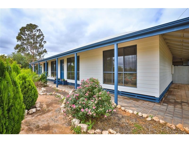 48 Irymple Avenue, Nichols Point VIC 3501