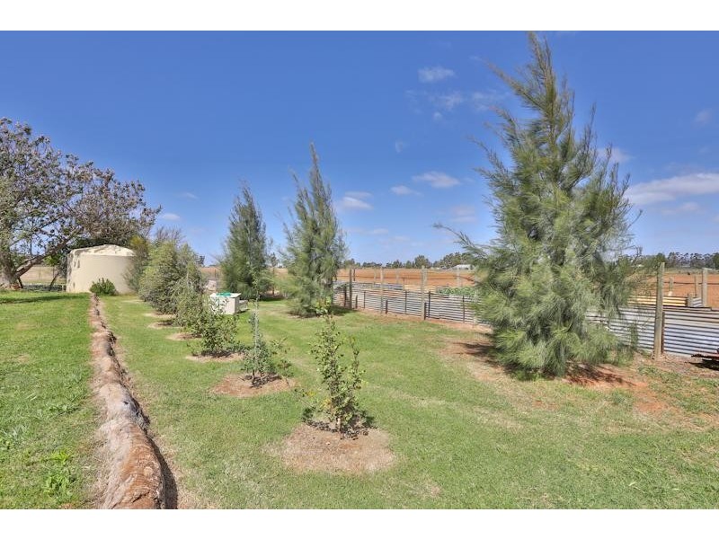 22 Palmer Road, Merbein South VIC 3505