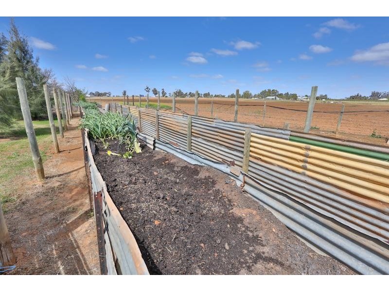 22 Palmer Road, Merbein South VIC 3505