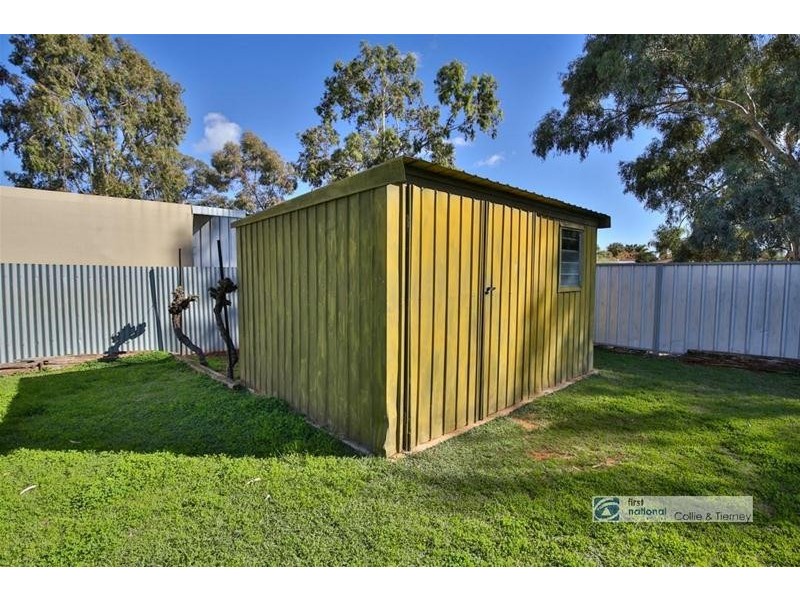 3 Patterson Avenue, Mildura VIC 3500