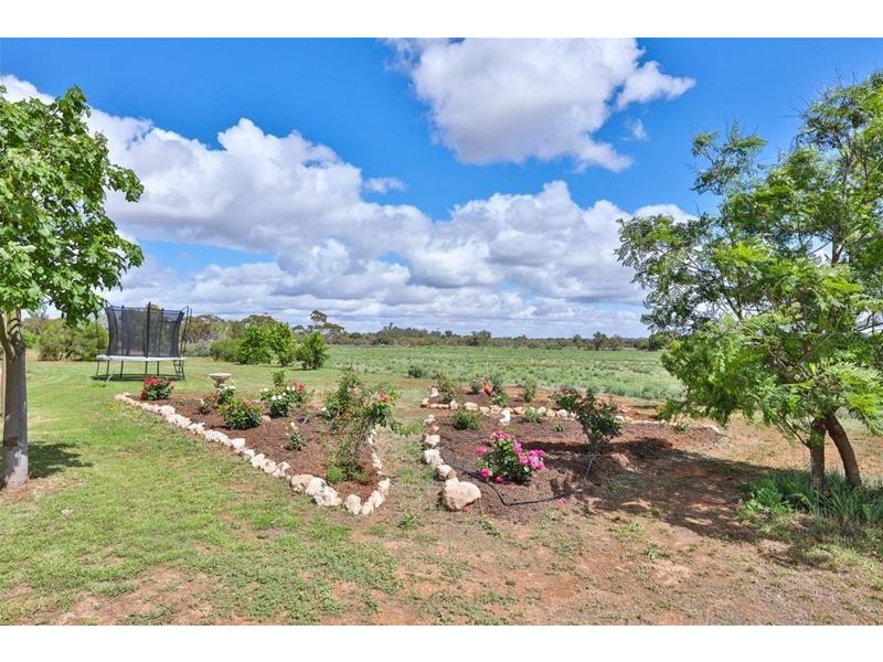 15 Hillview Road, Merbein West VIC 3505